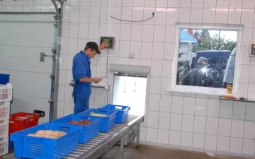 Украинцам показали путь отравленного мяса на полки магазинов