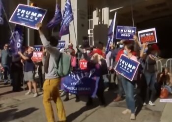 Протесты в поддержку Трампа, США, скриншот видео