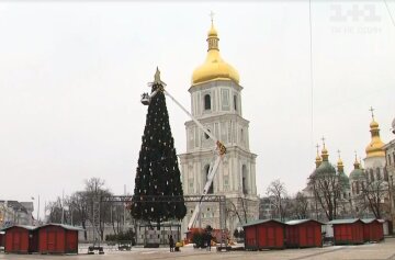 Скрін, відео ТСН