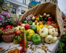 Киевлян зовут на сезонные ярмарки: "дешево и вкусно", - адреса "горячих точек"