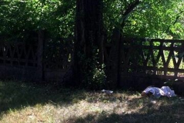 У місті Зеленського спіймали серійного маніяка, який прикидався сім'янином - "Допомогла путана"