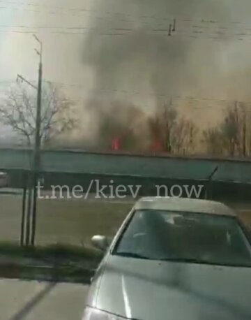 пожежа на Виноградарі, скріншот з відео