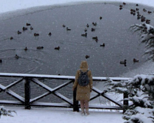 Украинцы, снег, зима, фото из соцсетей