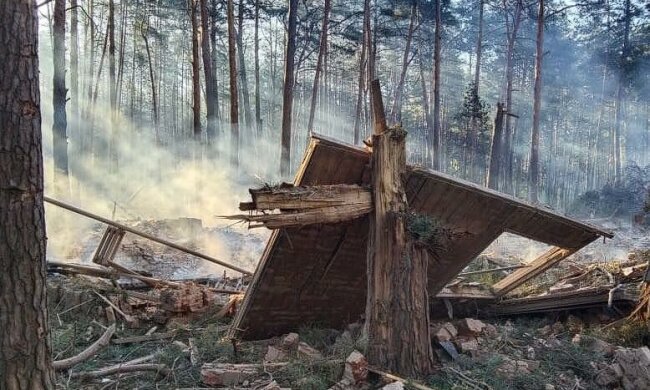 Госэкоинспекция оценила убытки за уничтожение россиянами части леса на Сумщине, сумма ущерба составляет более 2 млн гривен