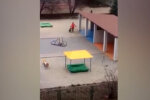 Вихователька забула малюка на вулиці та вимістила злобу: "Схопила і..."