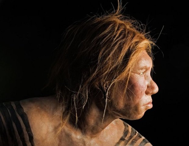 Характерная особенность: ученые рассказали о главном генетическом наследии неандертальцев