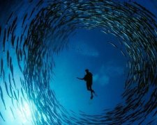 Як Світовий океан одночасно рятує та вбиває Землю