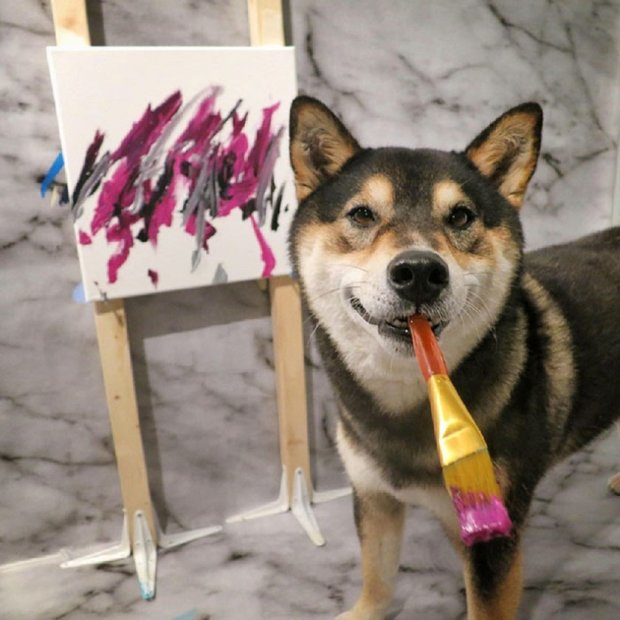 Невероятно, талантливый пес создает потрясающие картины. На продаже своих работ он получил уже 5000 долларов