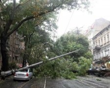 Страшна негода обрушилася на Одесу: повалені дерева, розгромлені авто
