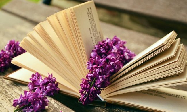 Українцям заборонять читати російські книги: виклали списки