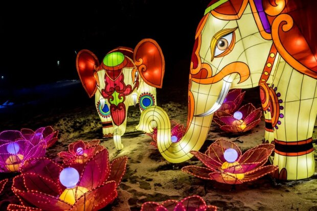 Настоящий Пекин: харьковчан приглашают на "Фестиваль китайских шаров"
