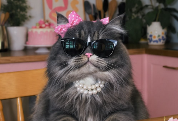 Гороскоп, зображення: Pinterest