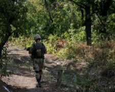 Шок! Українців стали жорстоко карати за ухиляння від армії