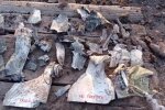 Рашисти випустили високоточну авіаракету Х-29 по українській "біолабораторії" - біля Гуляйполя знищено екотуалет