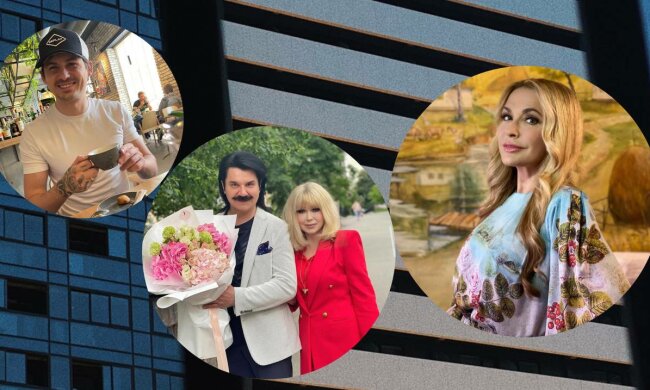 Сумська, Зібров, Кот, фото: Instagram