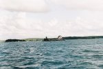 Яхта с тонной кокаина перевернулась на Дунае: рекордная партия наркотиков осела на дно реки