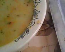 Вінницьких військових годують супом з хробаками (відео)