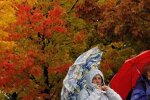 В Украине прогнозируют похолодание и дожди на севере