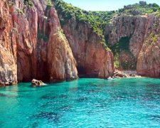 Кораловий оазис виявили на дні Середземного моря