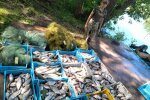 незаконний вилов риби - Держекоінспекція