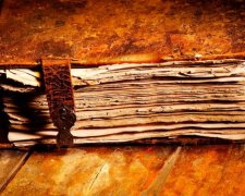 Дуже рідкісна тварина поповнила список Червоної книги