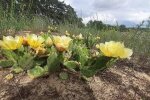 Телеграм-портал Україна в шоці