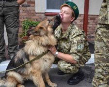 Шесть овчарок из "Межигорья" поедут в АТО