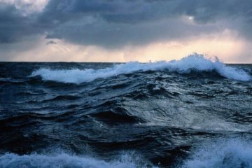 Похмурі таємниці Маріанської впадини показали всьому світу: фото