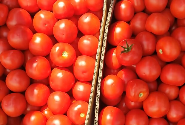 Цены на помидоры, кадр с видео