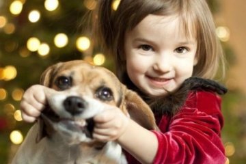 Собаки та малюки помірялись інтелектом