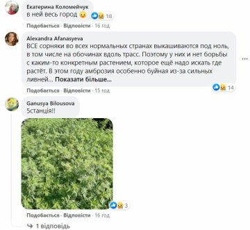 Комментарии к публикации, скриншот: Facebook