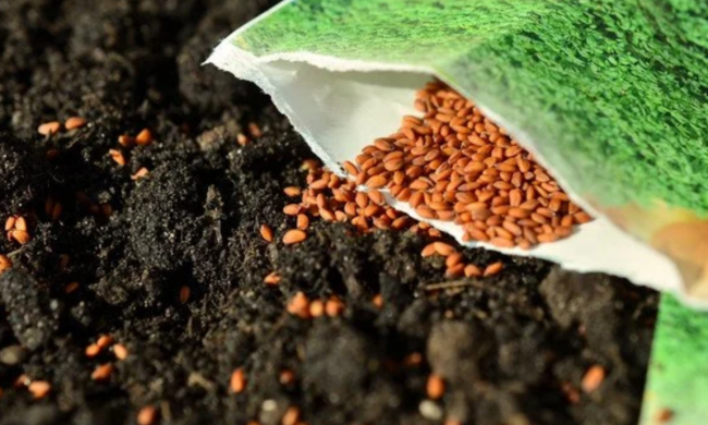 Посев урожая, огород, изображение из свободных источников