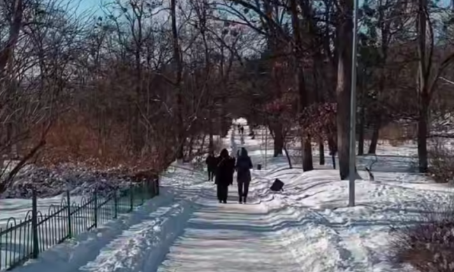 Українці, зима, кадр з відео