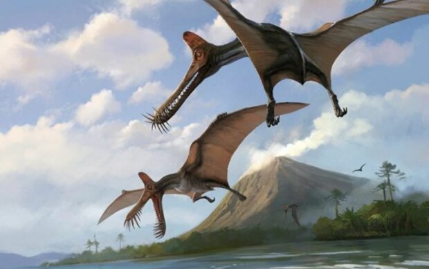 Птерозавр, скріншот: YouTube