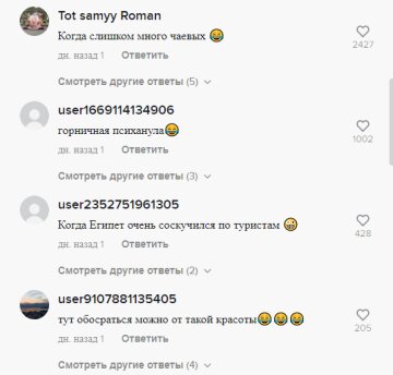 Комментарии, скриншот: TikTok ("Лебеди" в отелях)
