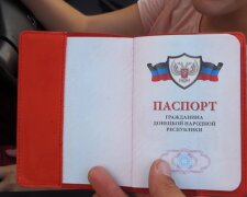 Паспорт "ДНР", фото: скриншот