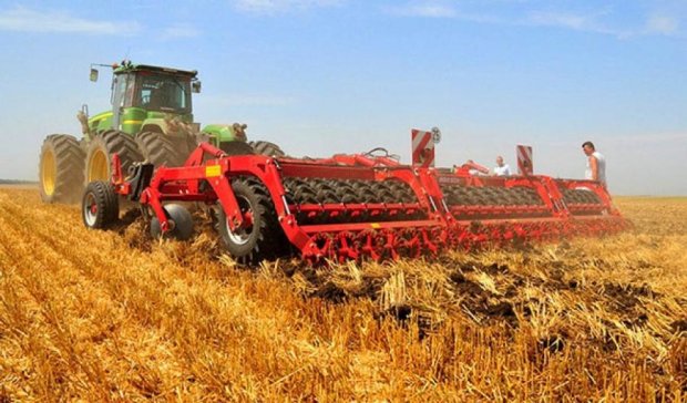 Україна в трійці світових лідерів з експорту зерна – Мінагрополітики