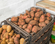 Картопля, зображення з вільних джерел