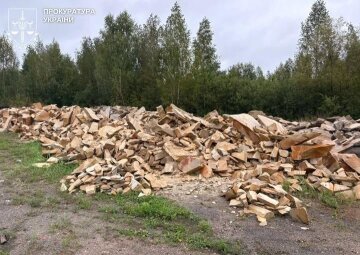 незаконная добыча песчаника