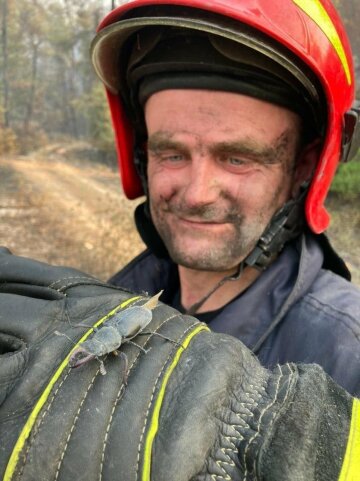 Український рятувальник у Греції, фото: Facebook