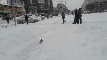 Зима, мороз - фото Знай.ua