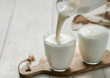 Кефир, фото championat