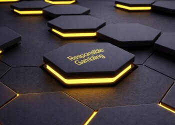 Міжнародне дослідження відповідальної гри