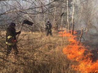 Пожежа в Чорнобильській зоні, фото: ДСНС