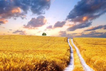 Мертві завойовники та достаток: українцям нагадали стародавнє пророцтво