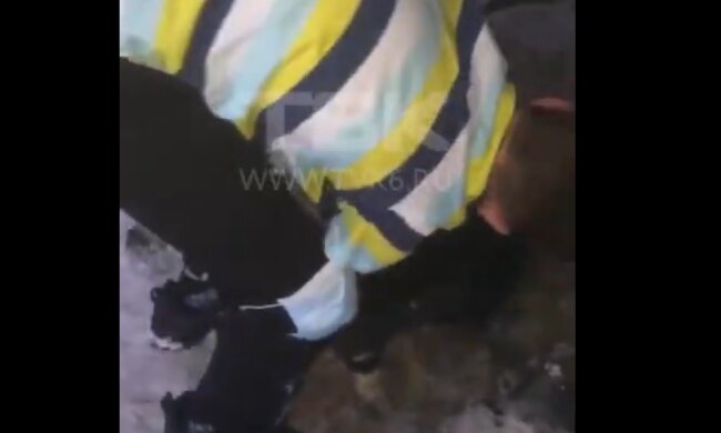 школяр самотужки врятував собаку з вигрібної ями, скрін з відео