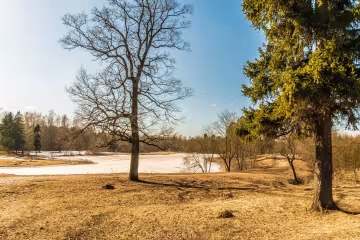 погода в Україні, фото pxhere
