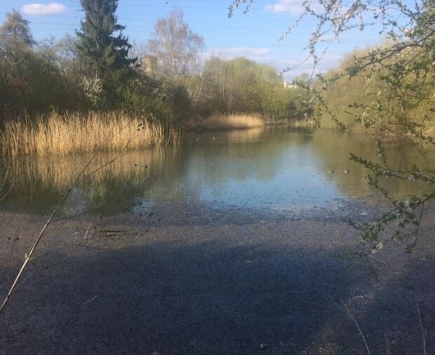 В Львове озеро с дикими утками превратили в канализацию - разъяренные горожане поставили  Садовому жесткий ультиматум