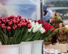 Плоды 8 марта: маркетологи подсчитали мужские жертвы