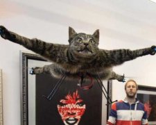 Дбайливий дрон не дозволить вам працювати занадто багато